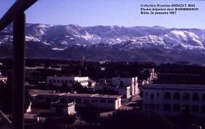 Mas- 140- Blida